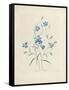 Bluebells, from 'Choix Des Plus Belles Fleurs Et Des Plus Beaux Fruits', 1827-33-Pierre-Joseph Redouté-Framed Stretched Canvas