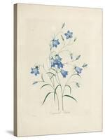 Bluebells, from 'Choix Des Plus Belles Fleurs Et Des Plus Beaux Fruits', 1827-33-Pierre-Joseph Redouté-Stretched Canvas