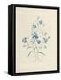 Bluebells, from 'Choix Des Plus Belles Fleurs Et Des Plus Beaux Fruits', 1827-33-Pierre-Joseph Redouté-Framed Stretched Canvas