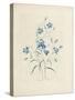 Bluebells, from 'Choix Des Plus Belles Fleurs Et Des Plus Beaux Fruits', 1827-33-Pierre-Joseph Redouté-Stretched Canvas