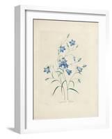 Bluebells, from 'Choix Des Plus Belles Fleurs Et Des Plus Beaux Fruits', 1827-33-Pierre-Joseph Redouté-Framed Giclee Print