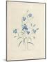 Bluebells, from 'Choix Des Plus Belles Fleurs Et Des Plus Beaux Fruits', 1827-33-Pierre-Joseph Redouté-Mounted Giclee Print