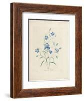 Bluebells, from 'Choix Des Plus Belles Fleurs Et Des Plus Beaux Fruits', 1827-33-Pierre-Joseph Redouté-Framed Giclee Print