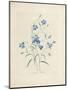 Bluebells, from 'Choix Des Plus Belles Fleurs Et Des Plus Beaux Fruits', 1827-33-Pierre-Joseph Redouté-Mounted Giclee Print