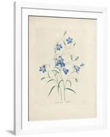 Bluebells, from 'Choix Des Plus Belles Fleurs Et Des Plus Beaux Fruits', 1827-33-Pierre-Joseph Redouté-Framed Giclee Print