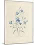Bluebells, from 'Choix Des Plus Belles Fleurs Et Des Plus Beaux Fruits', 1827-33-Pierre-Joseph Redouté-Mounted Giclee Print