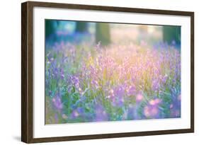 Bluebells Growing in Ancient Woodland-Inguna Plume-Framed Photographic Print