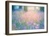 Bluebells Growing in Ancient Woodland-Inguna Plume-Framed Photographic Print