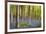 Bluebells (Hyacinthoides Sp.)-Jeremy Walker-Framed Photographic Print