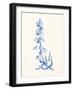 Bluebells I-Sara Zieve Miller-Framed Art Print