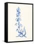 Bluebells I-Sara Zieve Miller-Framed Stretched Canvas