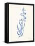 Bluebells II-Sara Zieve Miller-Framed Stretched Canvas