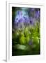 Bluebells in a Bluebell Wood in Oxfordshire-John Alexander-Framed Photographic Print