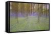 Bluebells in Beech Woodland-null-Framed Stretched Canvas