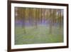 Bluebells in Beech Woodland-null-Framed Photographic Print