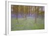 Bluebells in Beech Woodland-null-Framed Photographic Print