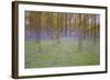 Bluebells in Beech Woodland-null-Framed Photographic Print