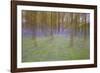 Bluebells in Beech Woodland-null-Framed Photographic Print