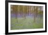 Bluebells in Beech Woodland-null-Framed Photographic Print