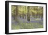 Bluebells in Beech Woodland-null-Framed Photographic Print