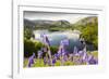 Bluebells on Loughrigg terrace, Lake District, UK.-Ashley Cooper-Framed Photographic Print