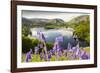 Bluebells on Loughrigg terrace, Lake District, UK.-Ashley Cooper-Framed Photographic Print