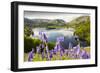 Bluebells on Loughrigg terrace, Lake District, UK.-Ashley Cooper-Framed Photographic Print