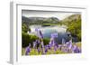 Bluebells on Loughrigg terrace, Lake District, UK.-Ashley Cooper-Framed Photographic Print