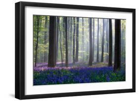 Bluebells-Adrian Popan-Framed Art Print