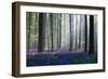 Bluebells-Adrian Popan-Framed Art Print