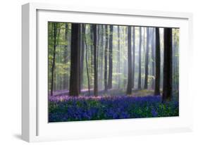 Bluebells-Adrian Popan-Framed Art Print