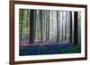 Bluebells-Adrian Popan-Framed Art Print