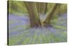 Bluebells-null-Stretched Canvas