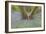 Bluebells-null-Framed Photographic Print