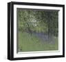 Bluebells-Paul Bailey-Framed Art Print