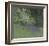 Bluebells-Paul Bailey-Framed Art Print