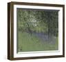 Bluebells-Paul Bailey-Framed Art Print