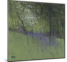 Bluebells-Paul Bailey-Mounted Art Print