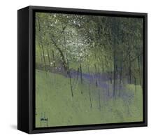 Bluebells-Paul Bailey-Framed Stretched Canvas