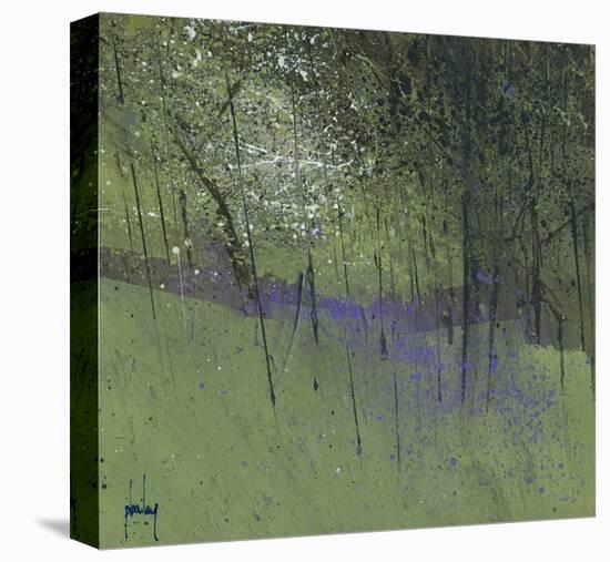 Bluebells-Paul Bailey-Stretched Canvas