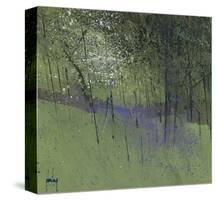 Bluebells-Paul Bailey-Stretched Canvas