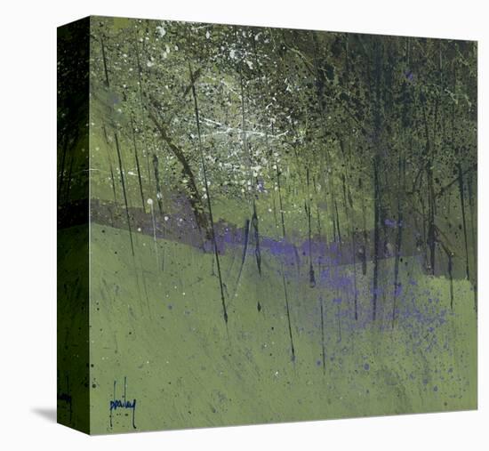 Bluebells-Paul Bailey-Stretched Canvas