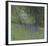 Bluebells-Paul Bailey-Framed Art Print