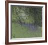 Bluebells-Paul Bailey-Framed Art Print