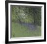 Bluebells-Paul Bailey-Framed Art Print