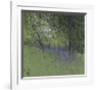 Bluebells-Paul Bailey-Framed Premium Giclee Print