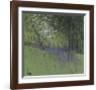 Bluebells-Paul Bailey-Framed Art Print