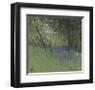 Bluebells-Paul Bailey-Framed Art Print