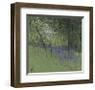 Bluebells-Paul Bailey-Framed Art Print