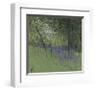 Bluebells-Paul Bailey-Framed Art Print